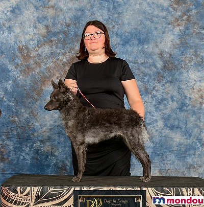 Oneida à son premier Best Of Breed